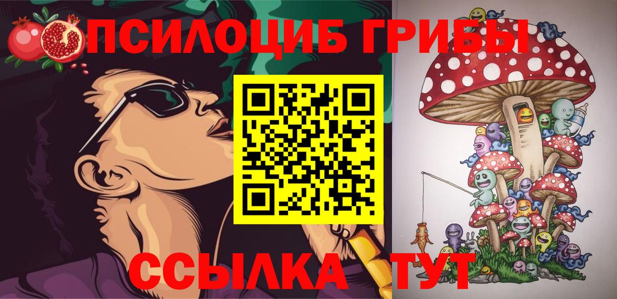 Галлюциногенные грибы прущие грибы Абакан