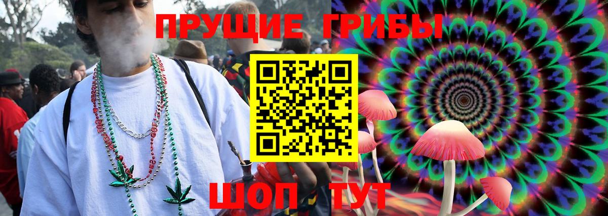 Абакан  Галлюциногенные грибы мицелий  Вход с VPN 